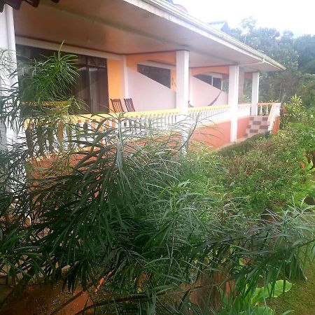 Cabinas Manolo Drake Bay, Ocean And Forest View Экстерьер фото