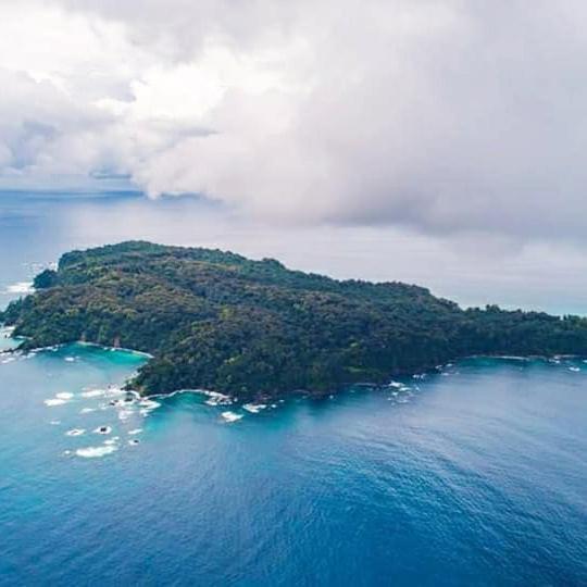 Cabinas Manolo Drake Bay, Ocean And Forest View Экстерьер фото